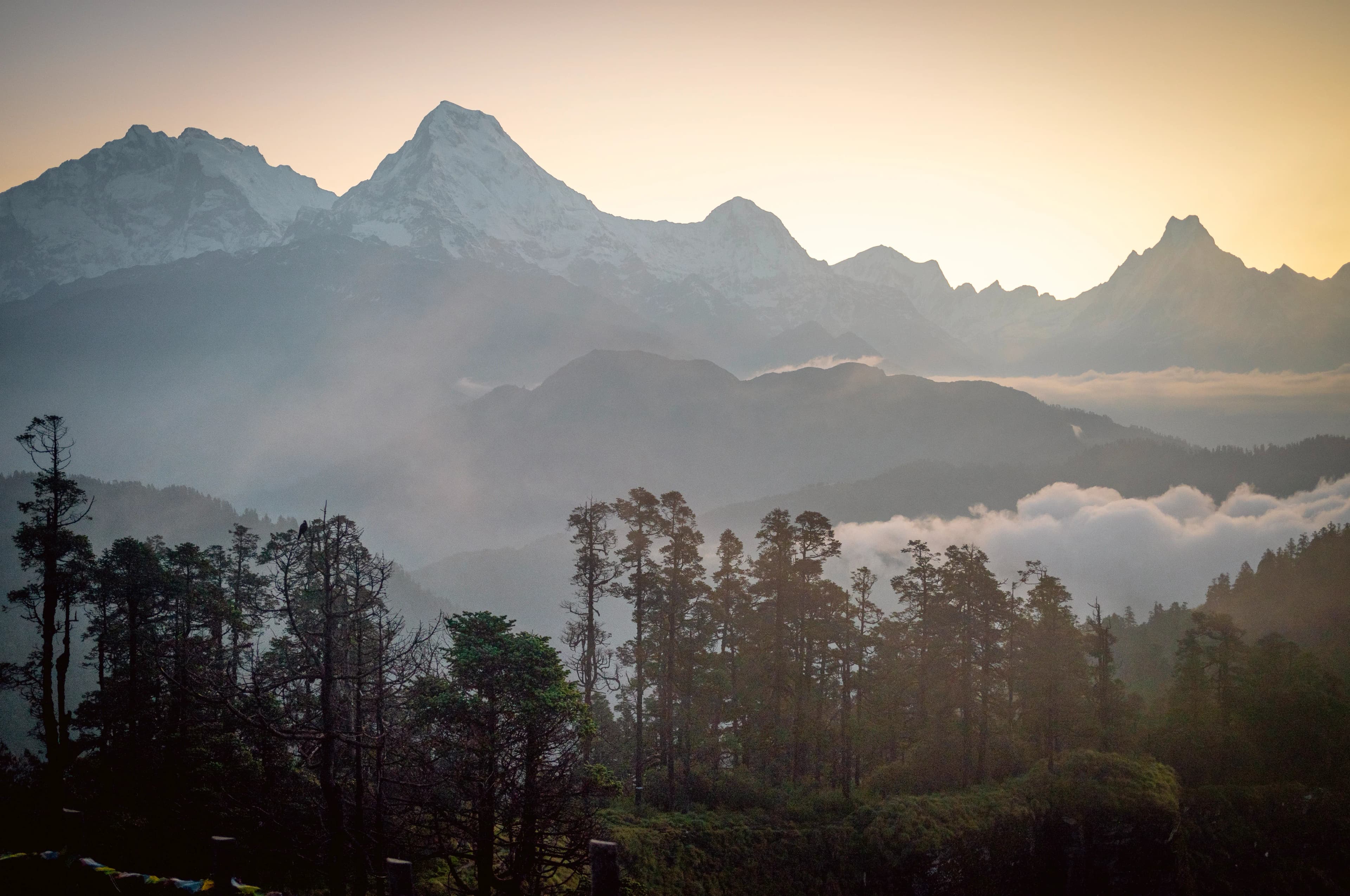 Kailash Kora